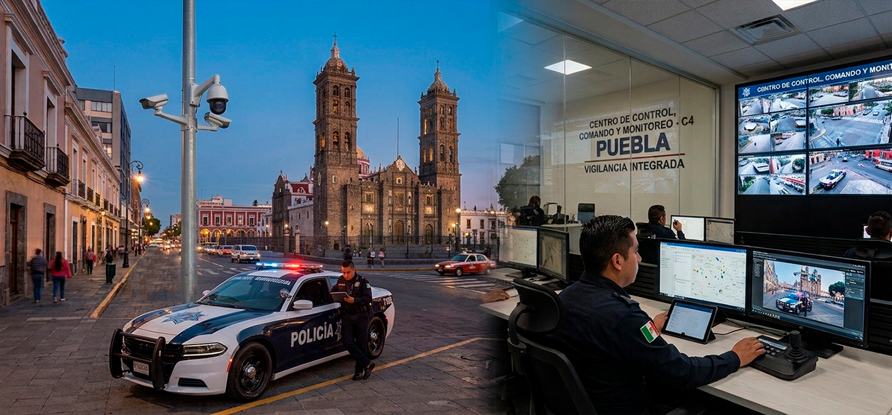 Seguridad Comercial