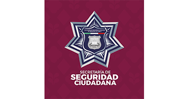 Seuridad Ciudadana